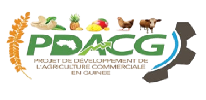 Partenaire Logo